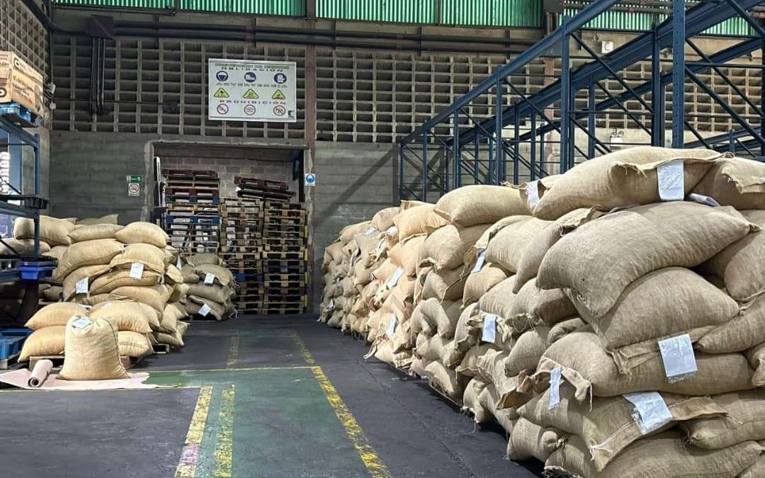 Cacao : le chocolatier Lindt & Sprüngli visé par une plainte aux États-Unis sur le travail des enfants en Afrique de l’Ouest