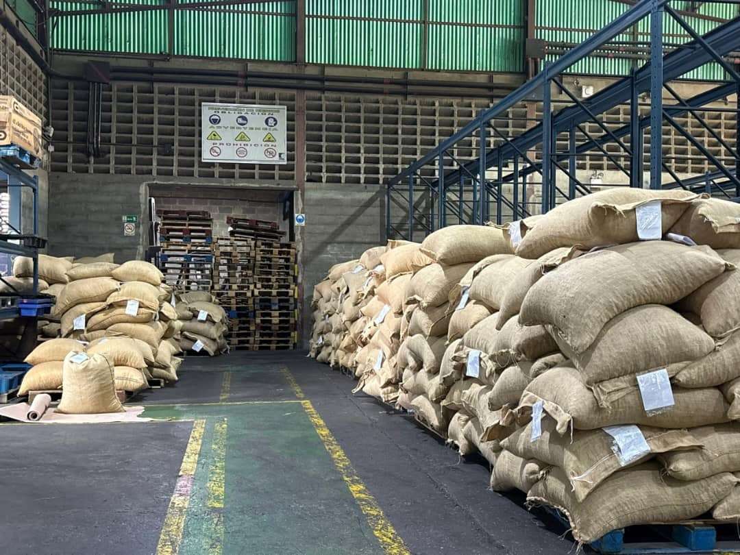 Cacao : le chocolatier Lindt & Sprüngli visé par une plainte aux États-Unis sur le travail des enfants en Afrique de l’Ouest