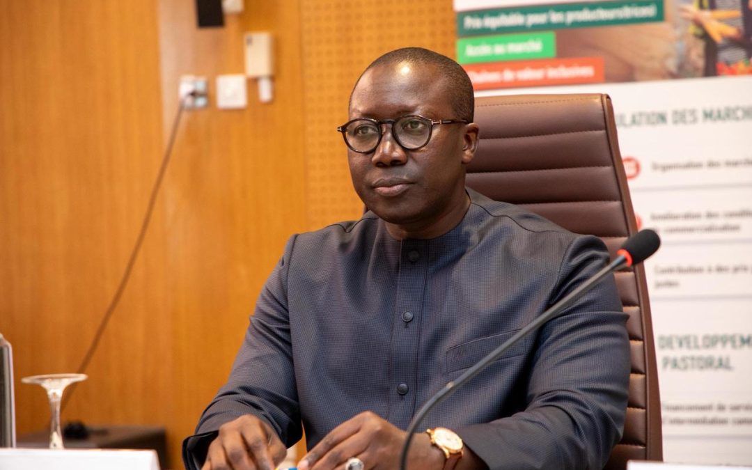 Réduire les pertes post-récolte : le défi logistique qui peut transformer l&rsquo;agriculture africaine