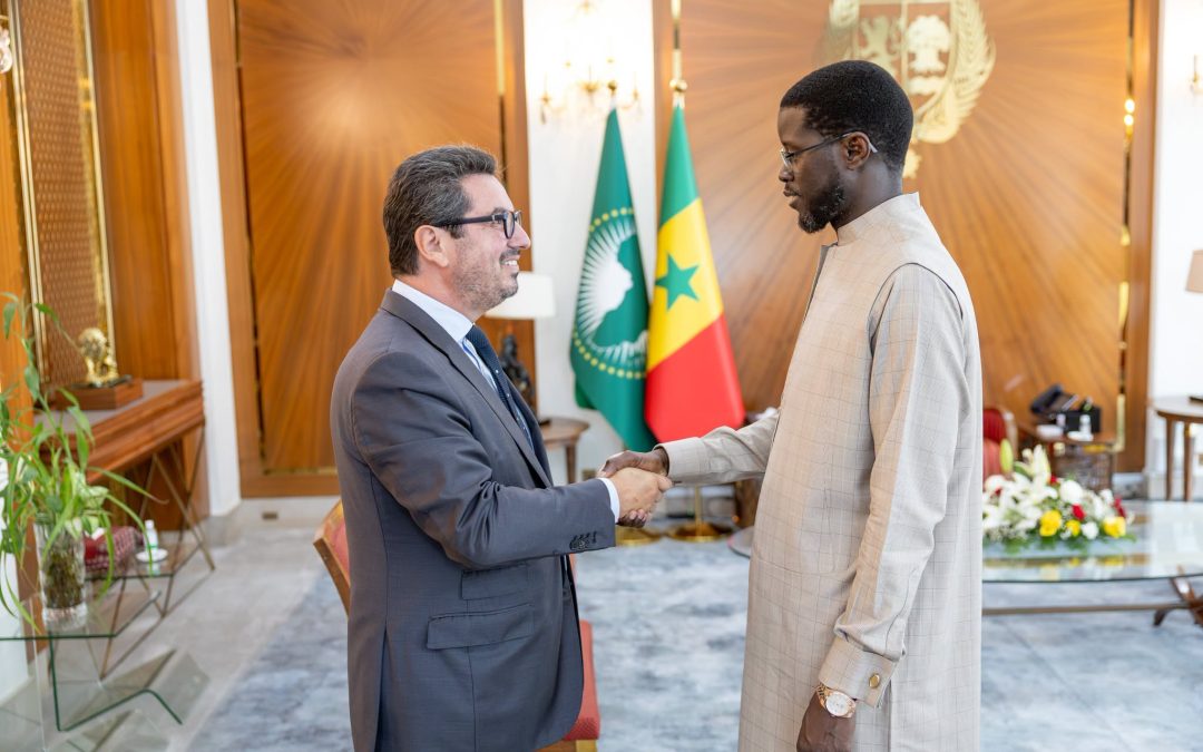 Sénégal : le président reçoit le dirigeant de MSC pour discuter des infrastructures maritimes